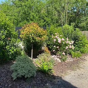 La Petite Caserne - 4 étoiles - Hébergement de vacances